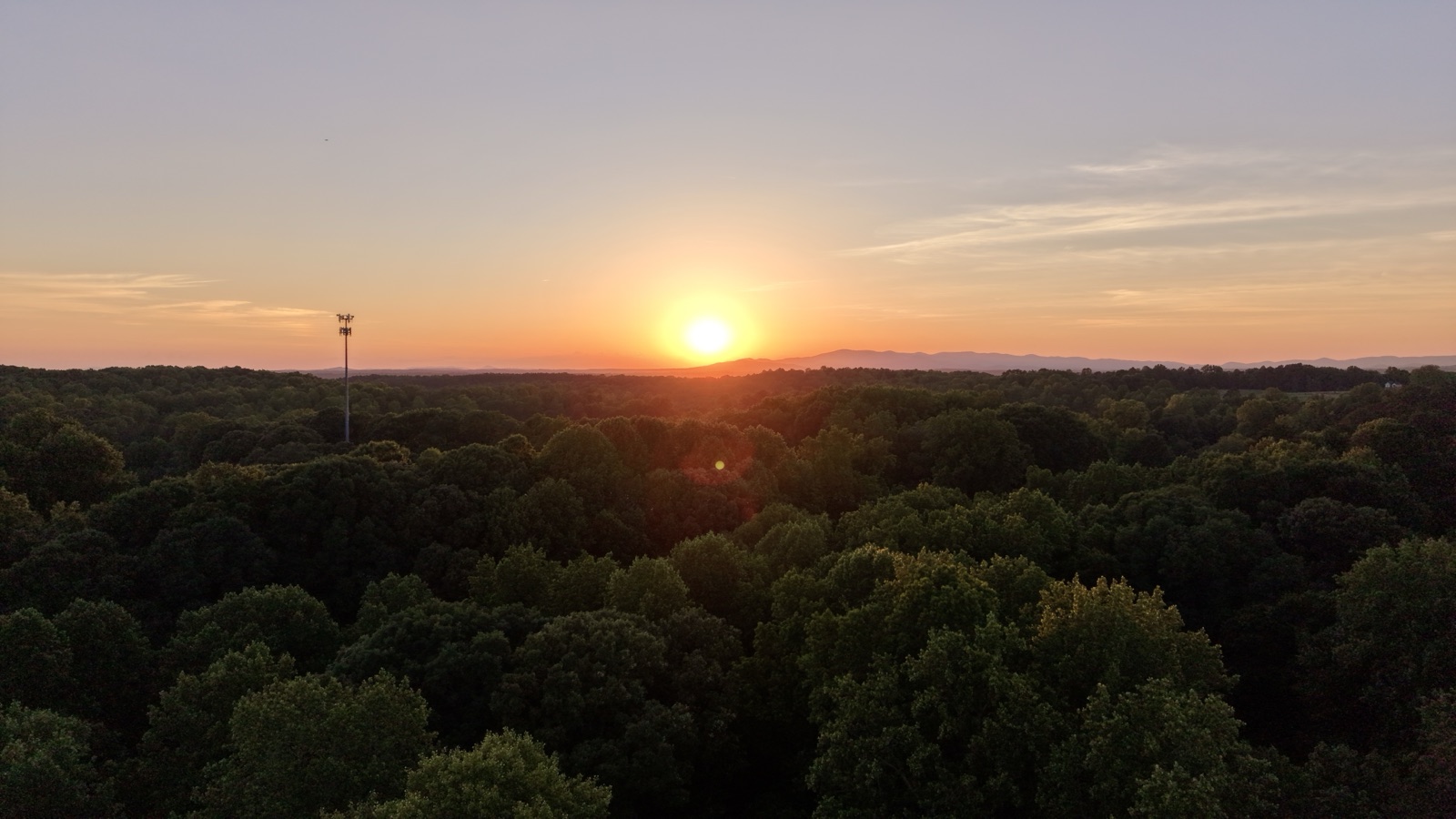 Sunset over the forest